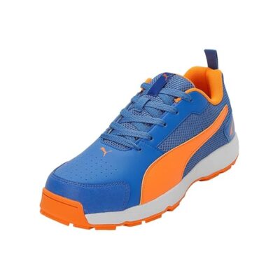 Puma Men’s Cricket Highrun Cricket Shoe