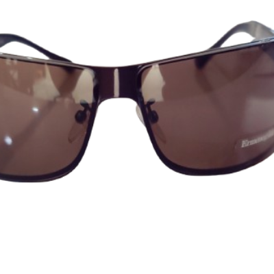 Ermenegildo Zegna Brown Color Sunglasses.