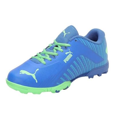 Puma Boys’ Evospeed V2 Cricket Shoe 10735403